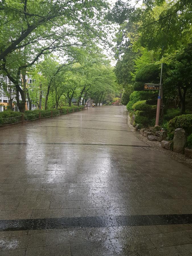 비타민 호텔 부산광역시 외부 사진